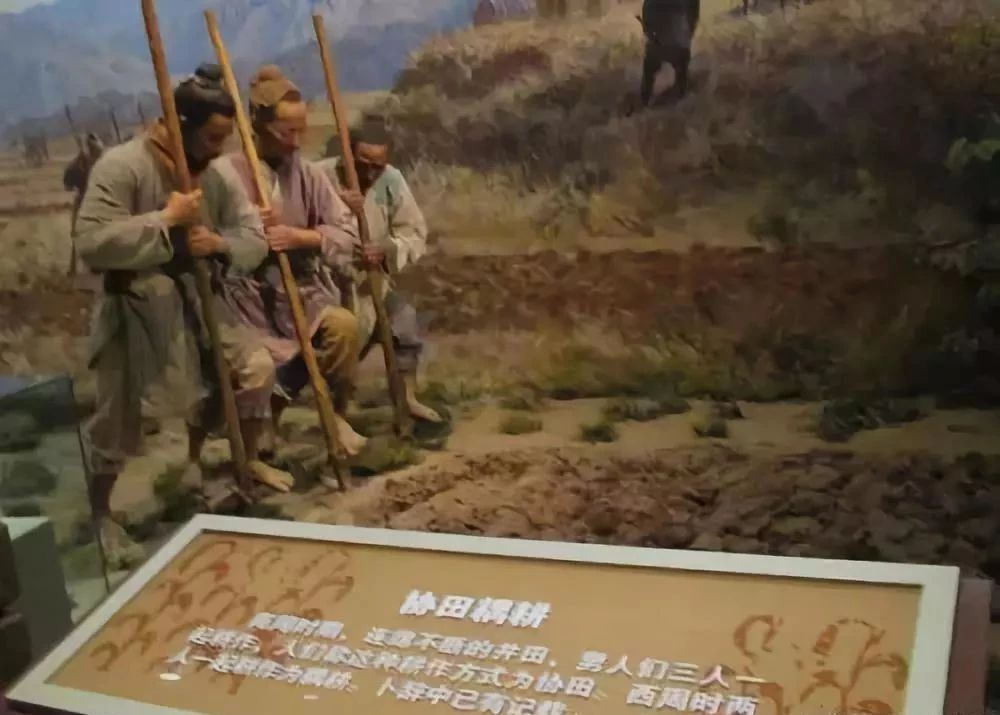 微信圖片_20190926132844.jpg 微信圖片_20190926132844.jpg